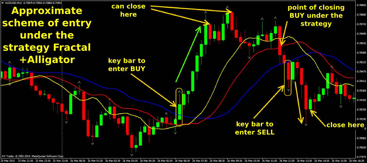 forex fractal trading strategy