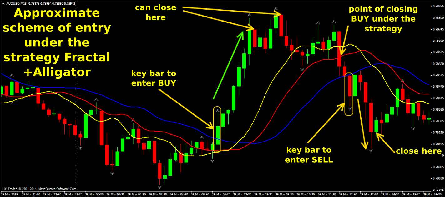 forex alligator fractal