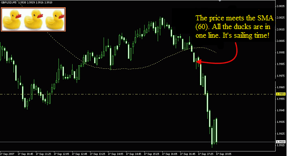 3 ducks forex